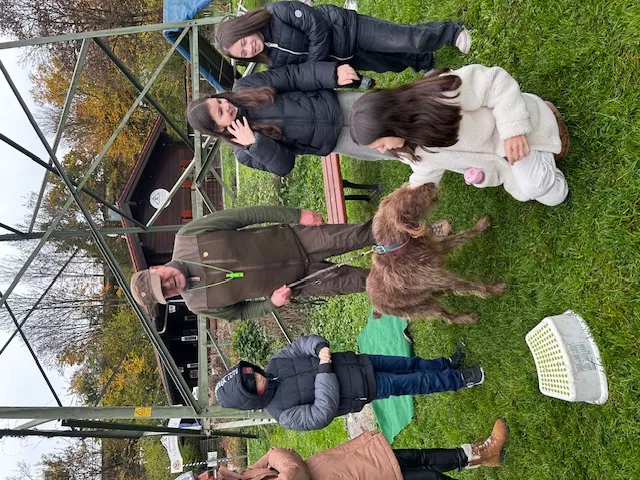 hunde4.webp